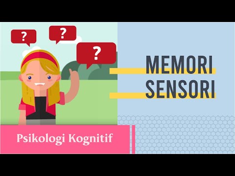 Video: Apa tiga jenis memori sensorik?