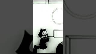 Felix The Seasick Cat