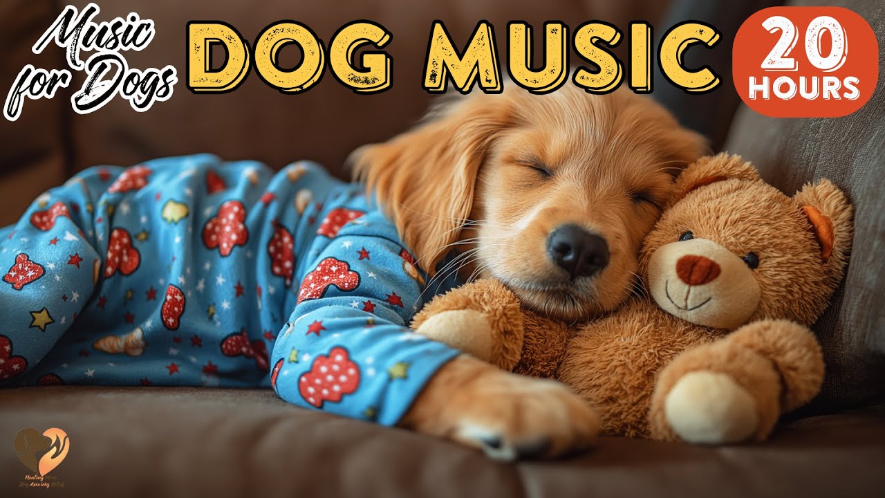 20 HOURS of Dog Calming Music🐶🎵Dog Healing Music for Calm✨Relaxing Dog Music for Better Rest