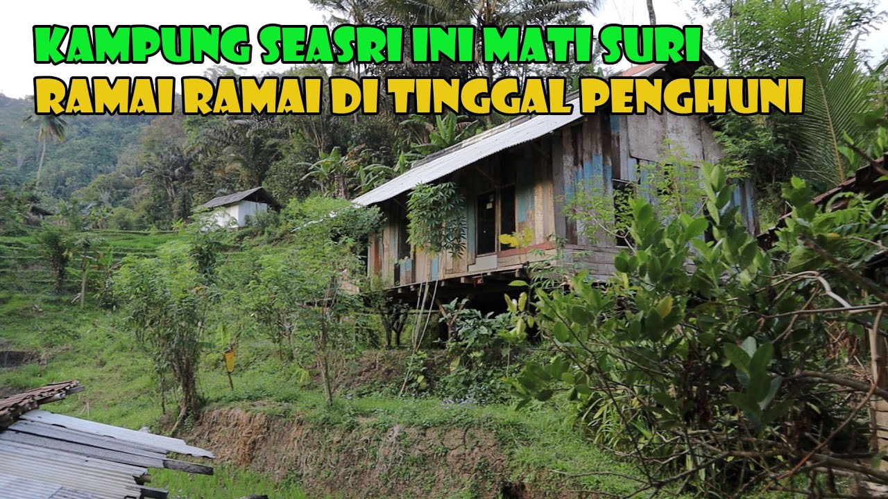 ADA APA...??? Kampung Seasri Ini Mati Suri Sehingga Di Tinggal Penghuni.