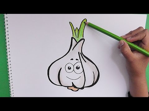 Dibujando y coloreando paso a paso al Ajo - Drawing and coloring step Garlic - YouTube