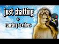 Just Chatting | Reaction Stream
