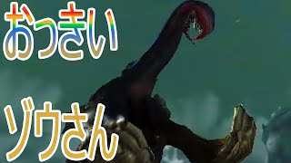 【MHX】新米ハンターの挑戦【実況】part26