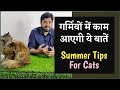 गर्मियों में काम आएगी ये बातें || Cat Care In Summer #cat #persiancat @nawazbilliwala1886