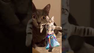 Dans Et, Şarkı Söyle, Sev ,Yaşa