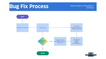 The bug fixing process