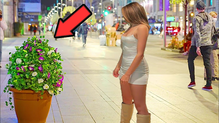 El Hombre Planta Ataca!!! 👻🌲 Bushman Prank