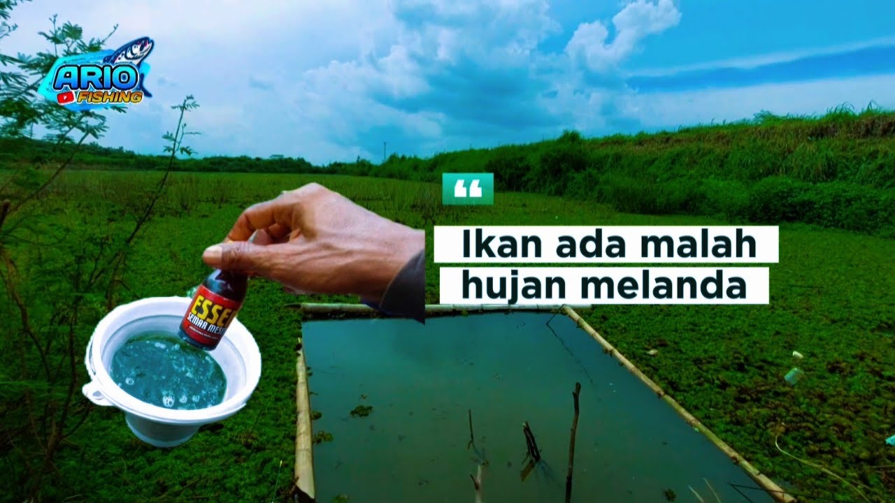 Tanggul Sengguruh Kepanjen‼️ Malang Jawa Timur Indonesia