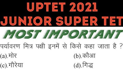 UPTET 2021 || Junior Super TET EVS Most Important Questions