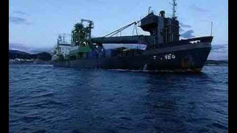 Van Oord flexible fall pipe vessels