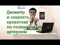 Скорость кровотока и диаметр сосудов шеи (позвоночных артерий)