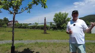 Around Windsor w/Tom Marsh: Railyards Project Update #65