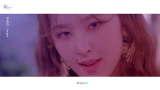 BVNDIT(Jungwoo) - Jungle MV(Solo Focus Screentime Distributin)