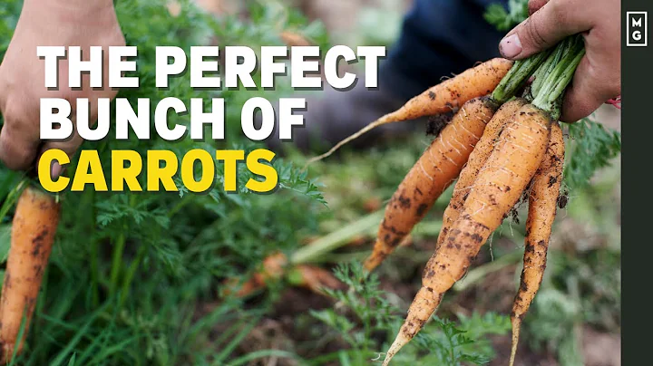 One Simple Trick To Sell More Carrots At Farmers Market