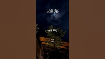 سورة التوبة #اكسبلور #رمضان #رمضان_كريم #قرآن #quran