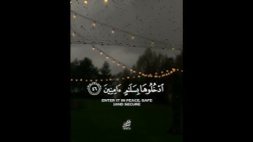 قران كريم بصوت احمد النفيس 🌿🧡 حالات واتس اب دينية مقاطع استقرام