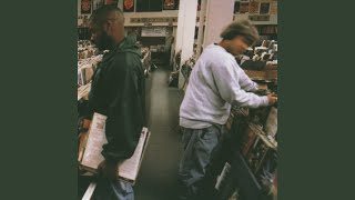 Video thumbnail of "DJ Shadow - Building Steam With A Grain Of Salt"