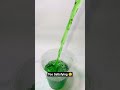 Too Satisfying 🤤 #asmr #bottleasmr #relaxing #satisfying #oddlysatisfying