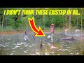 I Was NOT Expecting To See This On My Trail Cam | June Millet Pond/Channel Update