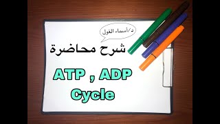 ATP | ATP, ADP cycle