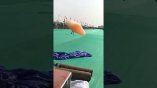 See Unbelievable Kite Fly