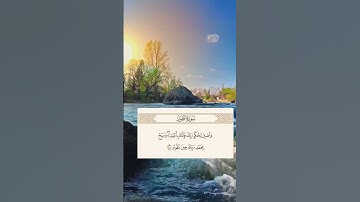 {سورة الطور} »{48}