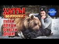 Хиты по-русски. Гуляй, пляши от всей души!