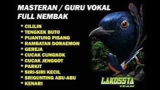 MASTERAN / GURU VOKAL MURAI BATU, CUCAK HIJAU, KACER FULL NEMBAK