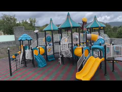 Droni დრონი