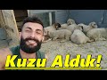 Kümesin Yeni Hayvanları!-Ahmetin KuzuLarı.!/#Tekirdağ#Süleymanpaşa#Tavuk