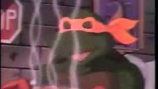 Ninja Turtles Hate Drugs psa I'm not a chicken you're a turkey!.flv