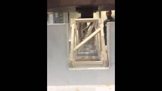 Engr 101 Bridge