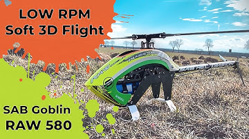 Goblin RAW580 // Soft 3D Low Rpm // LSV Albatros Oer-Erkenschwick