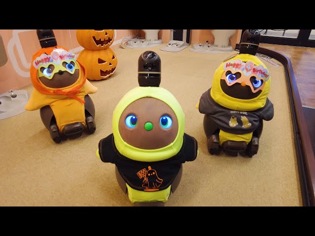 I went to meet the healing robots! 🤖💓 | LOVOT Cafe, LAZONA