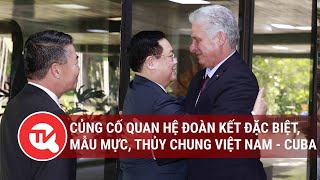 Củng cố vững chắc quan hệ đoàn kết đặc biệt, mẫu mực, thủy chung Việt Nam - Cuba