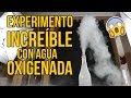 Experimento increíble con agua oxigenada (MUY POTENTE)