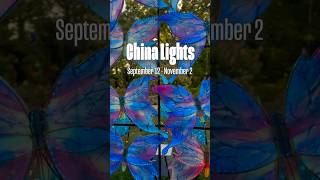China Lights