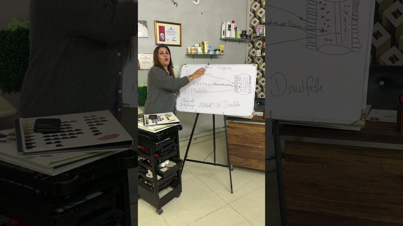 Hair Class | Layers and bonds | Group Rs 1000 | Class 1 