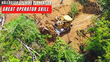 Easy Work Caterpillar D6R XL Dozer Widening Forest  and clearing land with Huge dozer