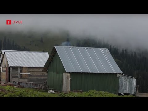 რეალური სივრცე - ბახმაროში დაგეგმილი პროექტი და საზოგადოების პროტესტი #LIVE