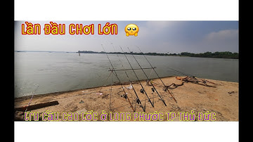 Lần đầu săn cá ngát trên tru cầu cao tốc long phước TP Thủ Đức
