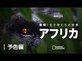 地球：生き物たちの故郷〜アフリカ – 予告編 | ナショジオ