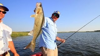 Spinner Rig Tweaks for Walleye
