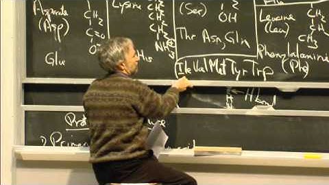 Proteins, levels of Structure, Non-covalent Forces, excerpt 2 | MIT 7.01SC Fundamentals of Biology