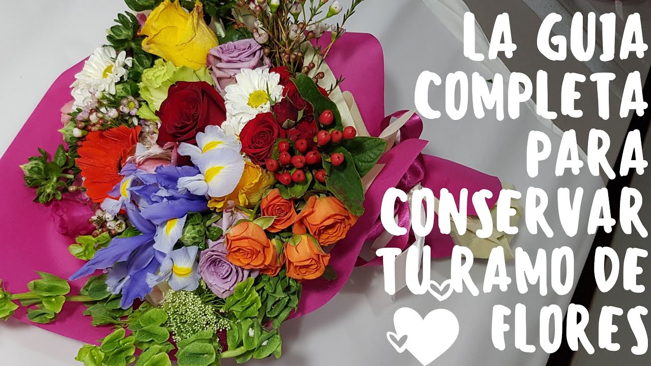 La guía completa para preservar tu ramo de flores.