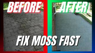 How to Remove Moss from Patio Pavers & Stop It Coming Back - Polymeric Sand Guide