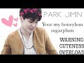 Park Jimin - You're my honeybun sugarplum