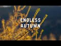 Simplon emtb factory team presents endless autumn