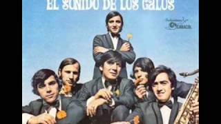 Video thumbnail of "Los Galos - Por Temor"