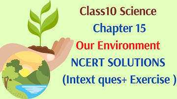 Class10 Science Chapter 15 Our Environment NCERT Question/Answers